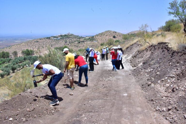 World Environment Day: LG Electronics Morocco and the High Atlas Foundation plant nearly 5000 olive trees in the Al Haouz province.