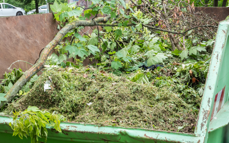 Marrakech: A Call for Tenders for Sustainable Green Waste Management